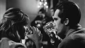 Noche de vino tinto — foto 1
