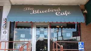 Bluebird — foto 2