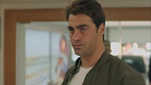 Episodio 14
