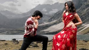 మిస్టర్‌ బచ్చన్ — foto 9