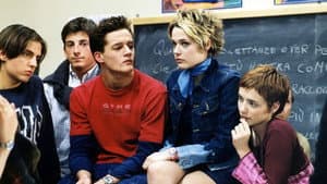 Compagni di scuola — foto 1