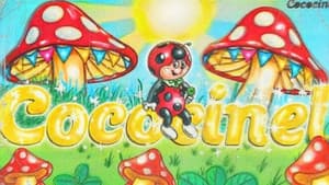 Cocomiel — foto 1