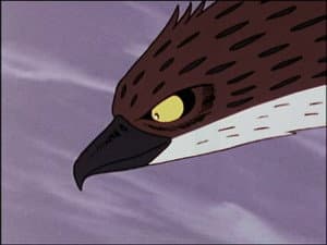 Episodio 109
