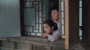 금홍아 금홍아 — foto 2