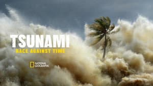 Tsunamis: Carrera contra el tiempo — foto 4