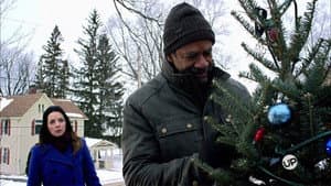 The Rooftop Christmas Tree — foto 1