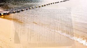 Palimpsest: The Story of a Name — foto 2