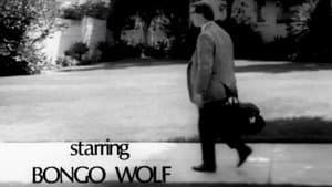Bongo Wolf’s Revenge — foto 1