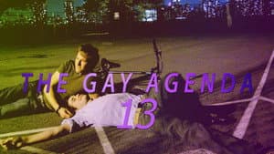 The Gay Agenda 13 — foto 1