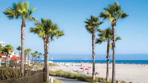 California Dreaming – Der Zukunft einen Schritt voraus — foto 1