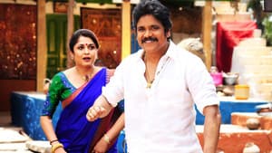 సోగ్గాడే చిన్నినాయనా — foto 11