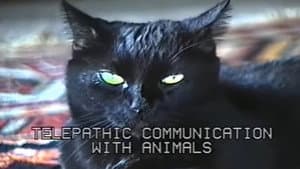 Telepathic Communication with Animals — foto 1