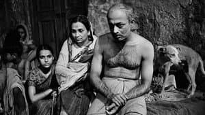 কলকাতা ৭১ — foto 1