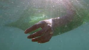 Depredadores sobre el mar — foto 1