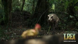 T. REX — foto 4