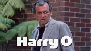 Harry O — foto 8