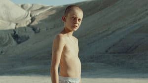 Fauve — foto 2