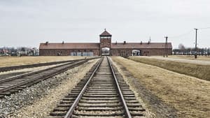 Auschwitz Projekt — foto 1