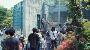 동물, 원 — foto 1