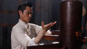 叶问 — foto 1