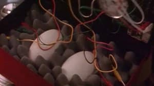 Episodio 7