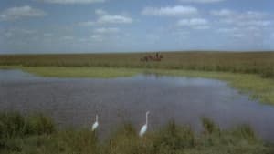 El camino del gaucho — foto 12