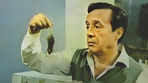 Don Ratón y Don Ratero — foto 1
