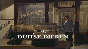 Episodio 9