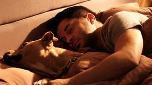 Dikkat Köpek Var — foto 1