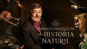Animales Fantásticos: Una Historia Natural — foto 4