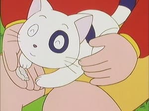 Episodio 323