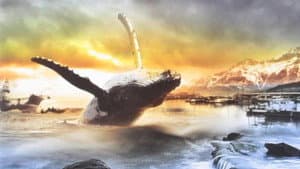 A Whale for the Killing — foto 1