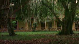 La mansión de Araucaima — foto 2