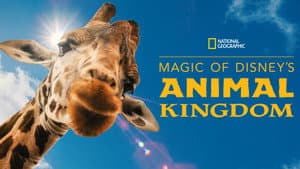 La Magia de Animal Kingdom de Disney — foto 4