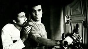 رضا موتوری — foto 1