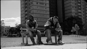 Brotherhood — foto 1