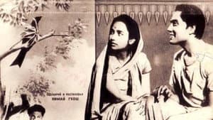 Chinnamul — foto 1
