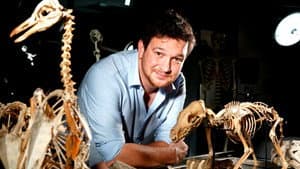 Secrets of Bones — foto 1