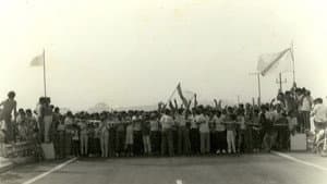 Testemuñas dunha illa — foto 4