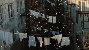 La duda — foto 8