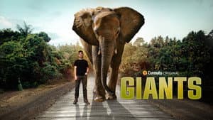 GIANTS — foto 1