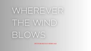 How We Feel: Wherever The Wind Blows — foto 1