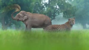 Thailand's Wild Side — foto 3