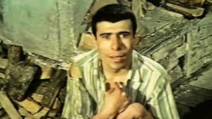 İbişo — foto 1