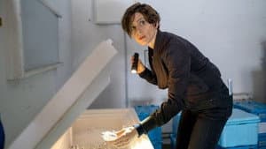 Episodio 8