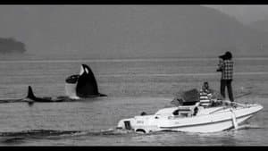 The Snake and the Whale — foto 5