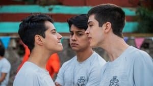 Los machos sean unidos