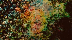 Landfill 16 — foto 6