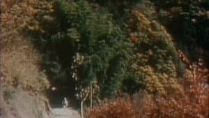 杣人物語 — foto 4