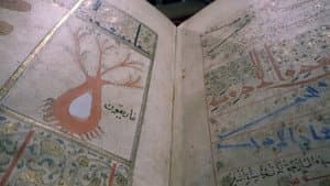 Les trésors oubliés de la médecine arabe — foto 4
